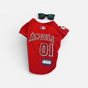 Red Angels Pet Sports Jersey &Sunnies